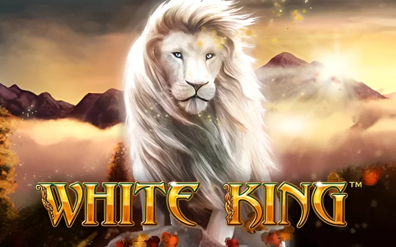 Jogos de cassino online