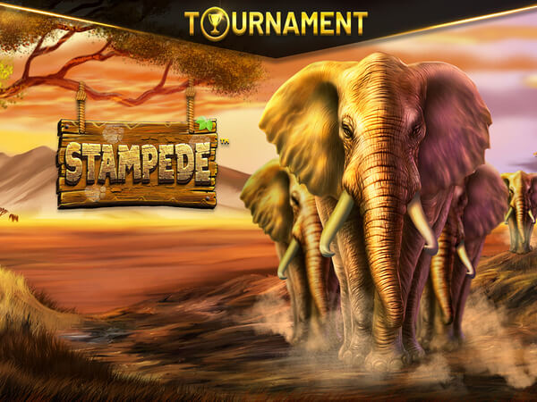 Wild west duels